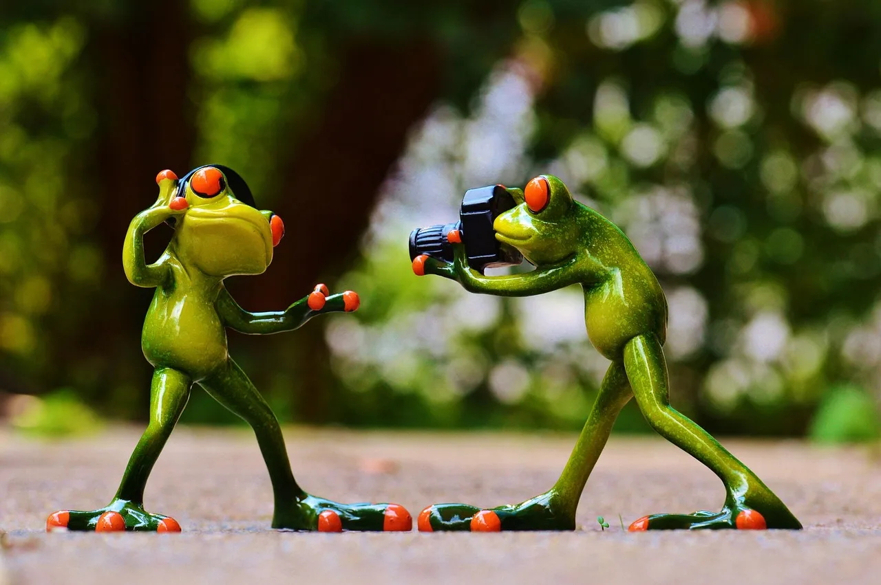 grodor, hörlurar, musik, att dansa, natur, utgör, fotograf, ta bilder, kamera, photo shoot, roligt, groda, djur, figur, söt