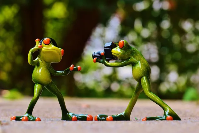 grodor, hörlurar, musik, att dansa, natur, utgör, fotograf, ta bilder, kamera, photo shoot, roligt, groda, djur, figur, söt. Vilket underlag behöver redovisningsbyrån för löpande bokföring?